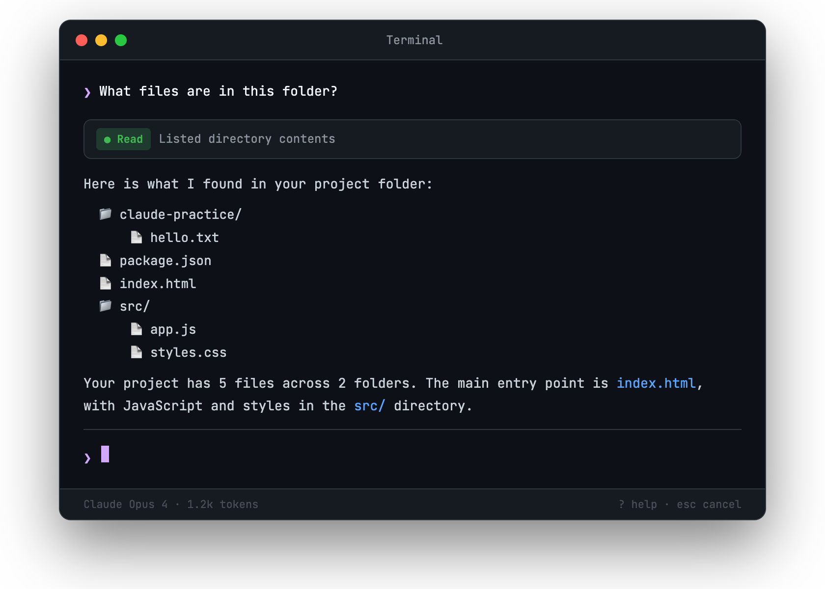 Claude Code listing files in your project folder