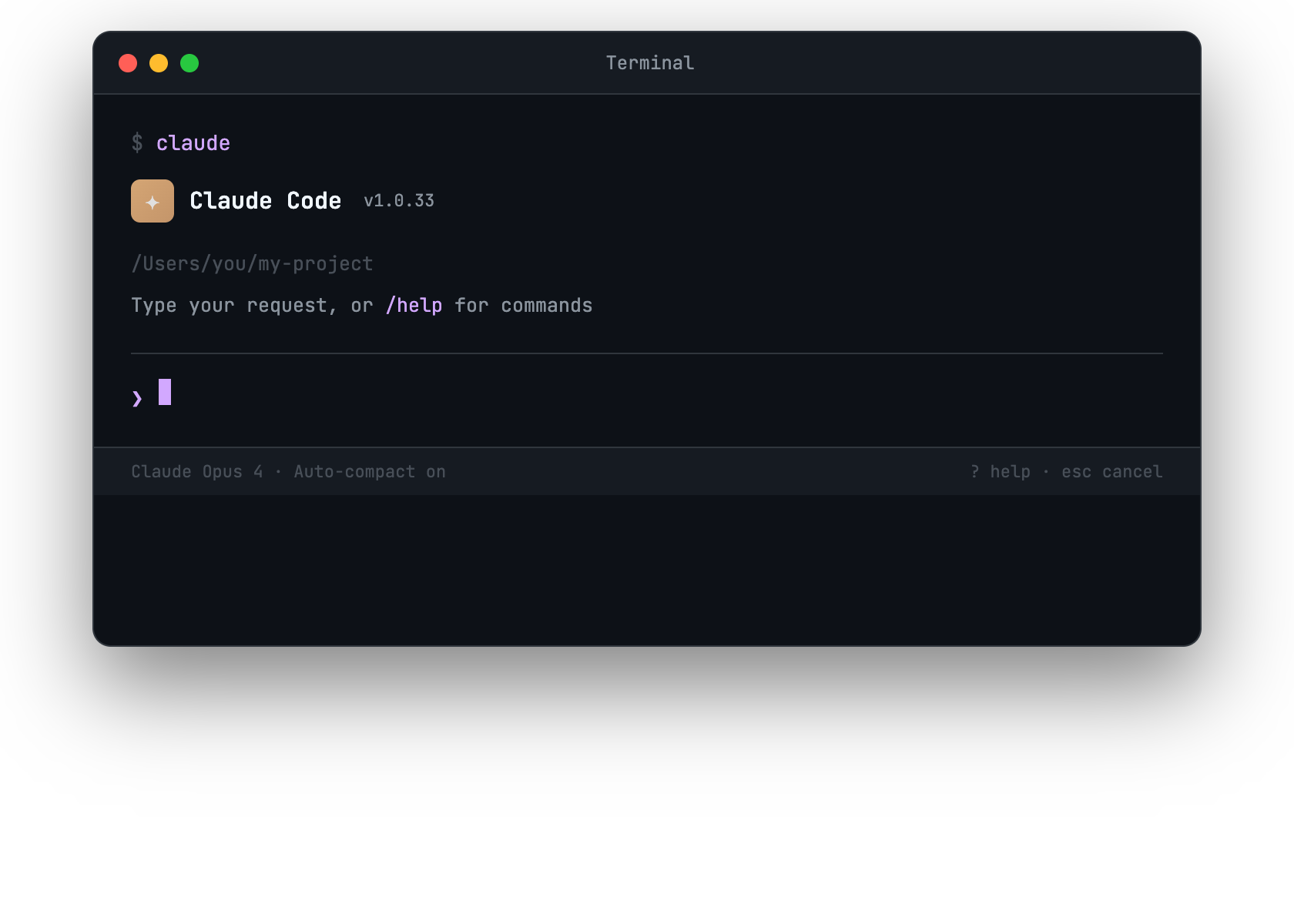 Claude Code welcome screen showing the terminal prompt